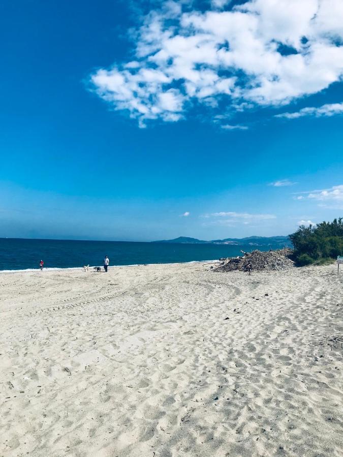 Les Capitelles Bord De Plage Avec Grande Piscine - Vue Montagne サン・シプリアン エクステリア 写真